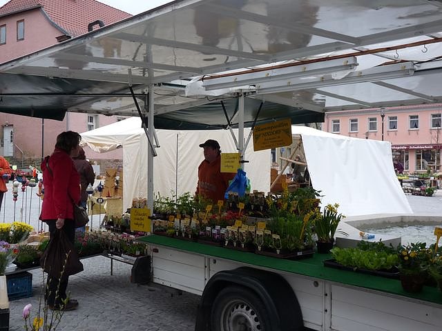 Start Apfelsch&auml;ppermarkt