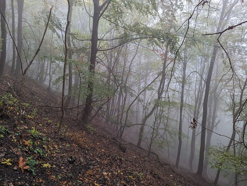 Der Frauenberg-Trai (Sondershausen) ist ein Familienerlebniswanderweg mit sieben verschiedene Erlebnisstationen