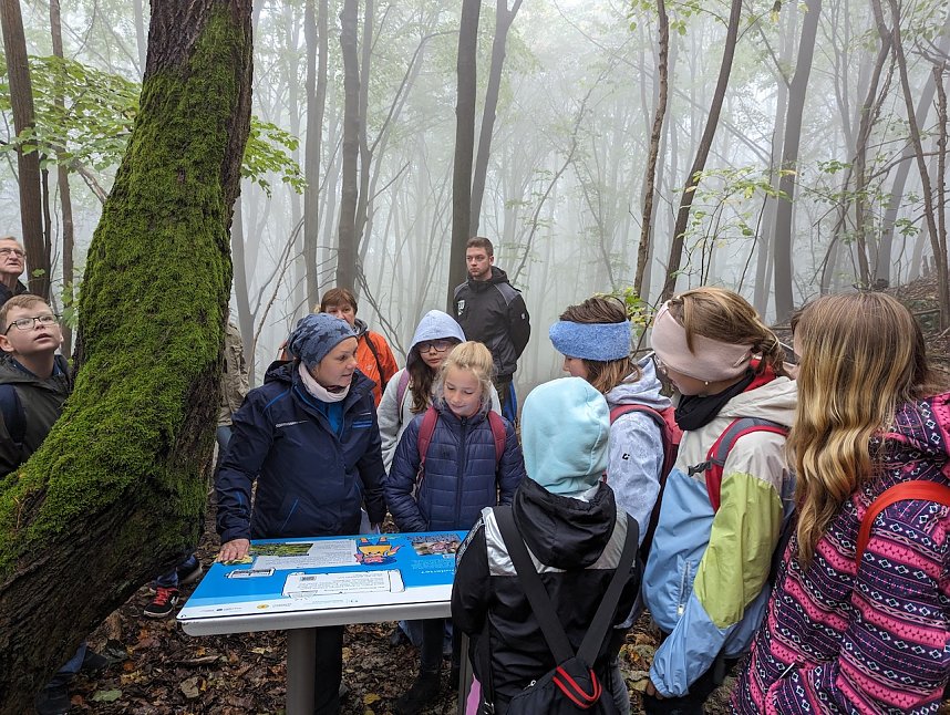 Der Frauenberg-Trai (Sondershausen) ist ein Familienerlebniswanderweg mit sieben verschiedene Erlebnisstationen
