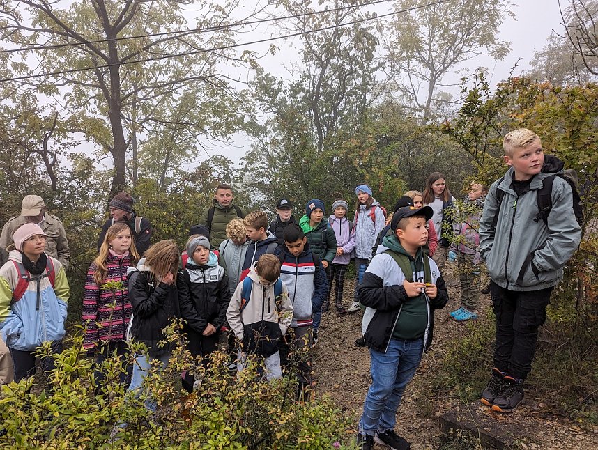 Der Frauenberg-Trai (Sondershausen) ist ein Familienerlebniswanderweg mit sieben verschiedene Erlebnisstationen