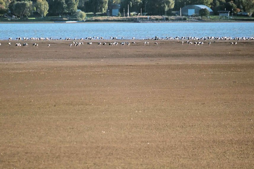 Neuer Aussichtsturm am Stausee Kelbra