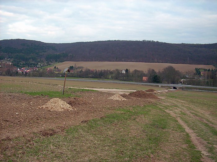 Baumpflanzung Ortsumfahrung