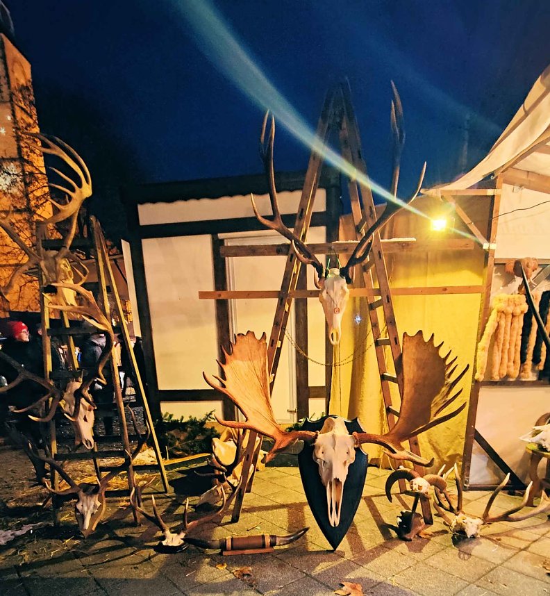 Peter Blei unterwegs in Magdeburg