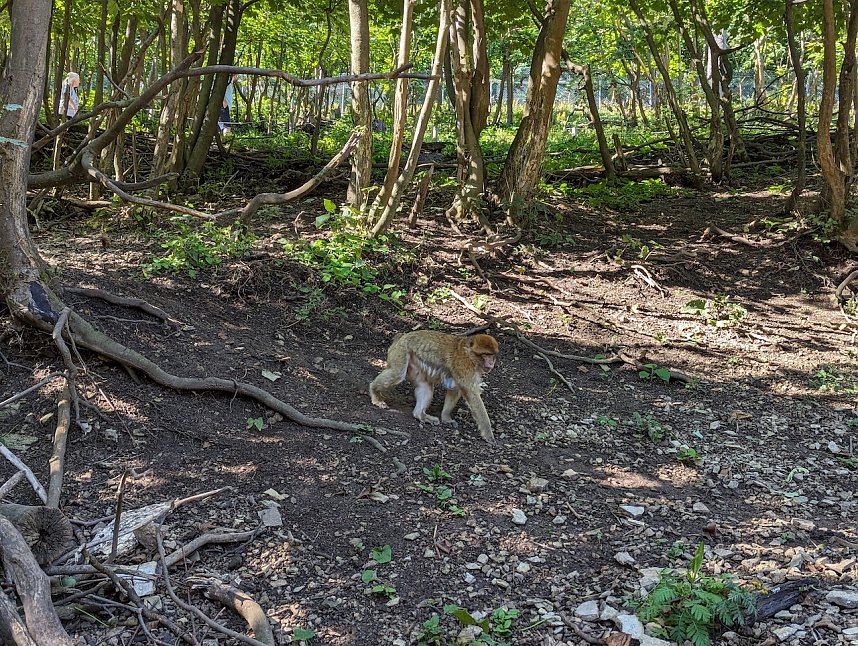 Kleinster Ortsteil, Viel zu erleben: Strau&szlig;berg 
