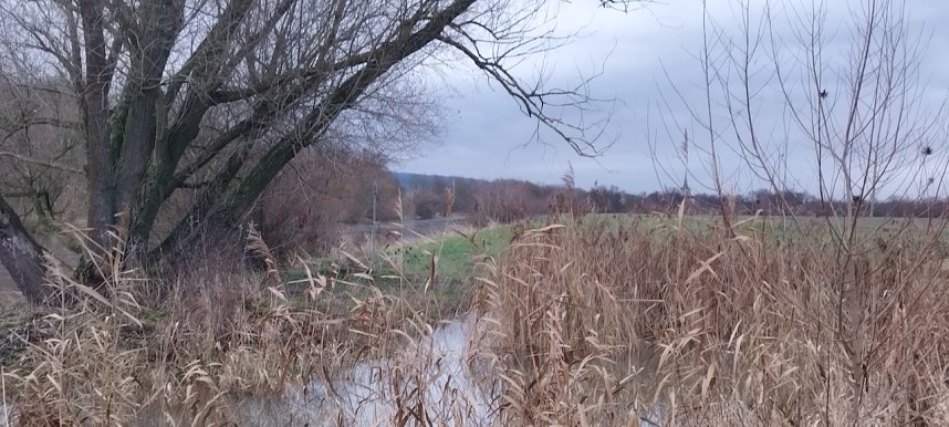 Spaziergang entlang der Unstrut aus Richtung Gorsleben in Richtung Sachsenburg