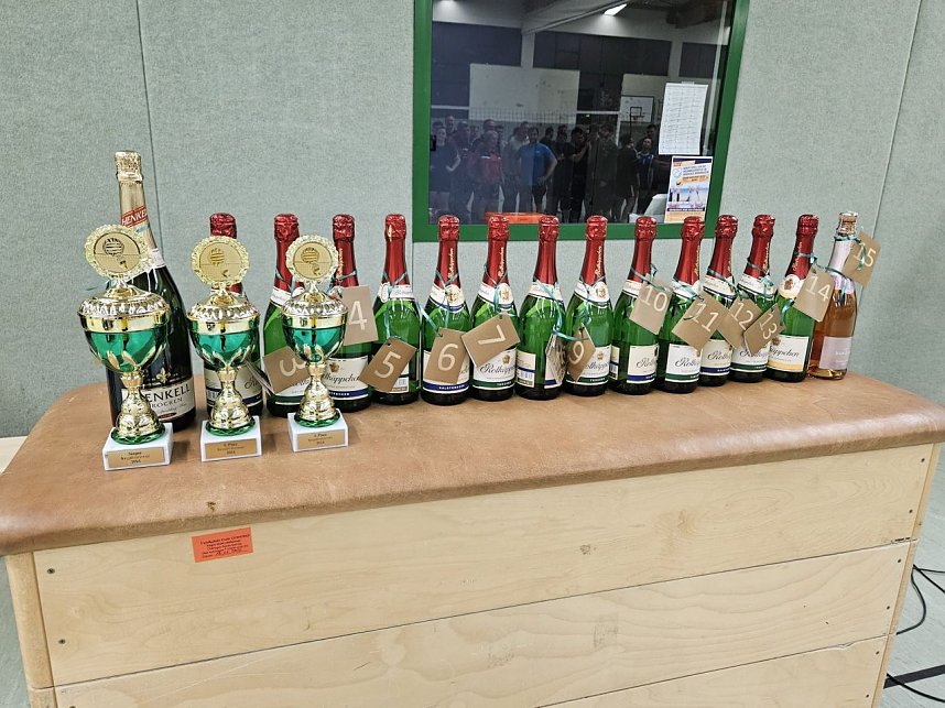 Volleyballturnier der WSG Franzberg