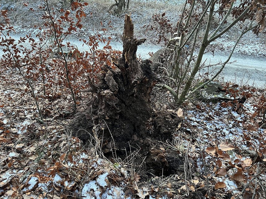 Tragischer Unfall in Sondershausen