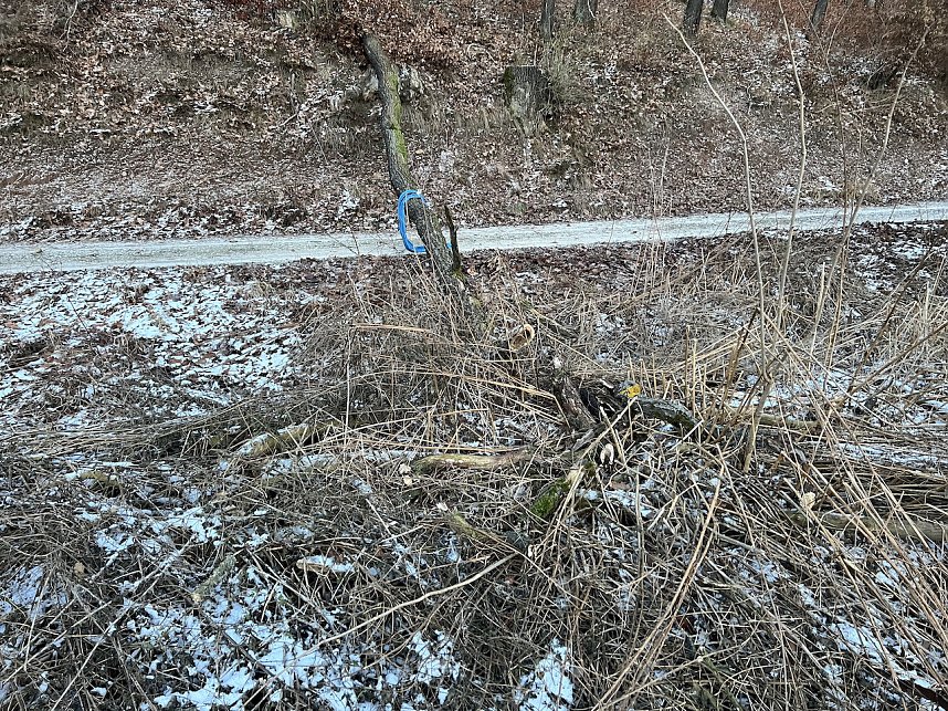 Tragischer Unfall in Sondershausen