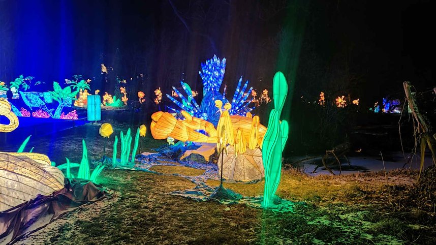 Peter Blei unterwegs in magischen Lichterwelten