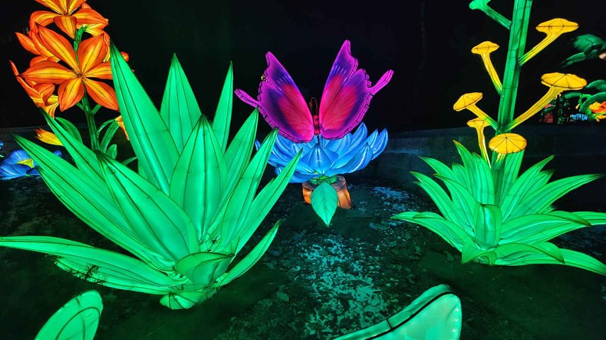 Peter Blei unterwegs in magischen Lichterwelten