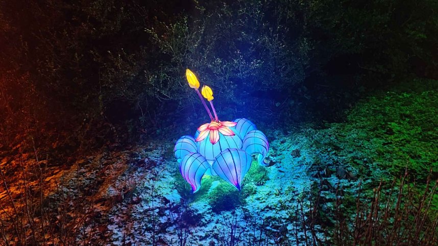 Peter Blei unterwegs in magischen Lichterwelten