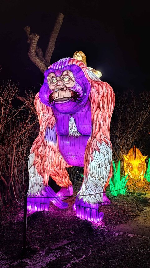 Peter Blei unterwegs in magischen Lichterwelten