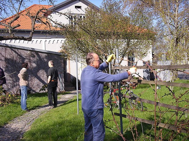 Fr&uuml;hjahrsputz Bad Frankenhausen