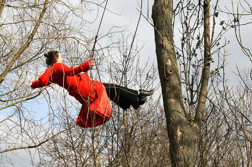 Baumproben bei Kelbra