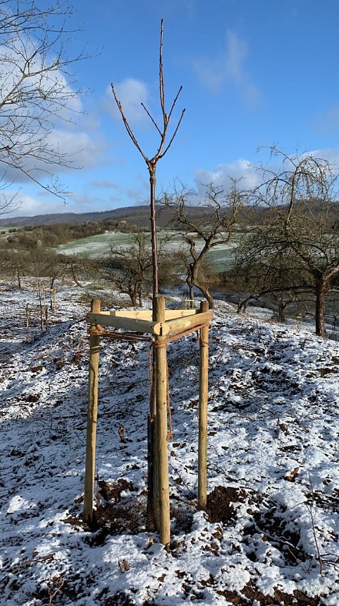 Naturprojekt wird beendet
