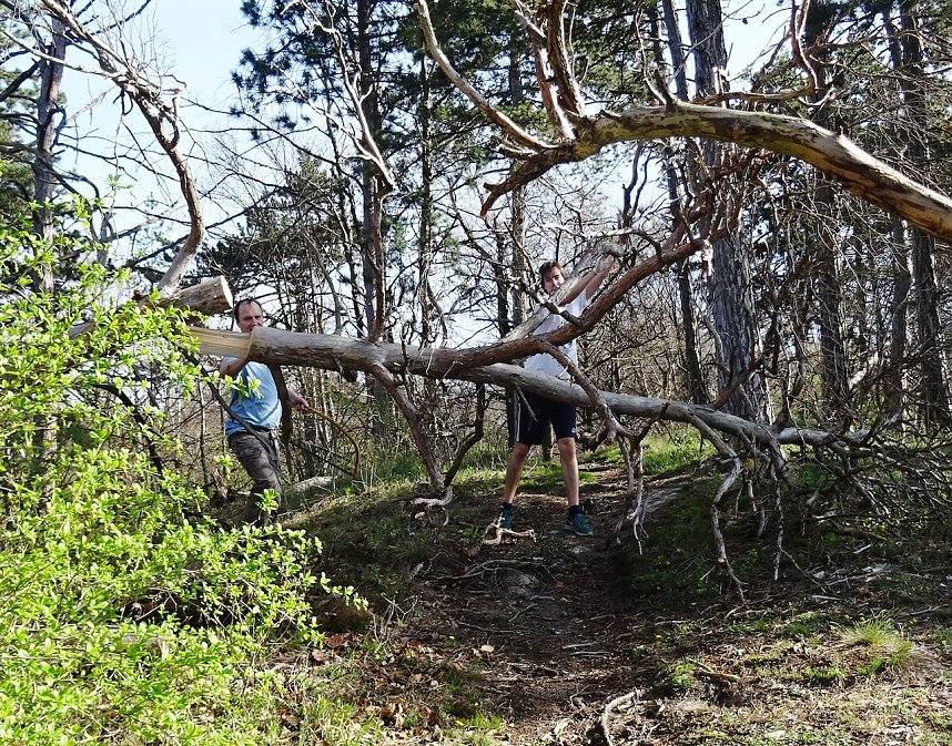 Viele flei&szlig;ige H&auml;nde halfen beim Fr&uuml;hjahrsputz an der Hornungsh&ouml;he