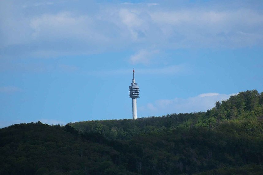 Flora und Fauna am Stausee Kelbra