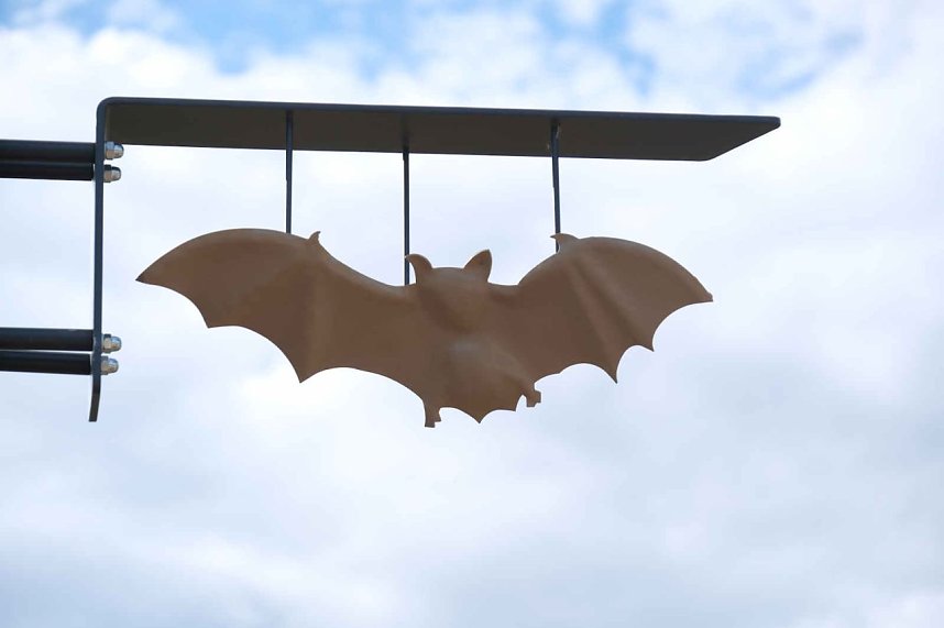 Flora und Fauna am Stausee Kelbra