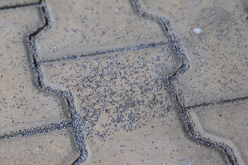 Einbruch im Vereinsheim