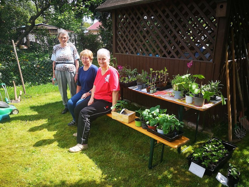 Reger Zuspruch bei der Pflanzentauschb&ouml;rse beim  KGV Gl&uuml;ckauf in Sondershausen