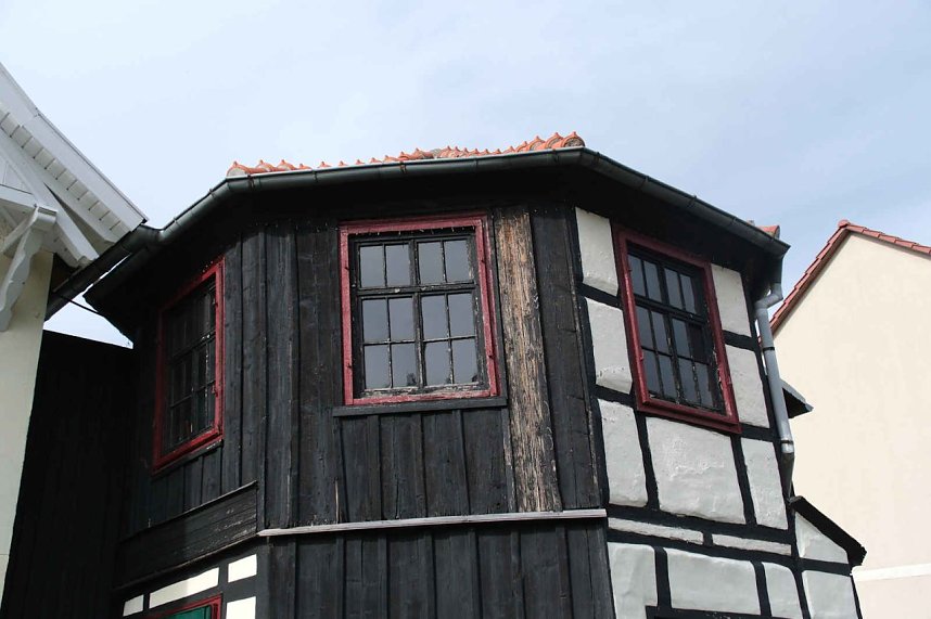 Peter Blei unterwegs auf Schwanensuche