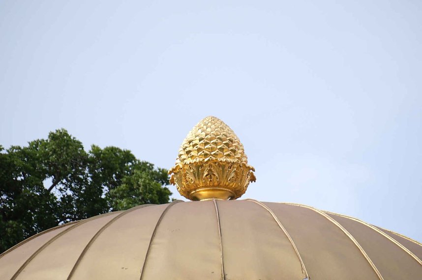 Peter Blei unterwegs auf Schwanensuche