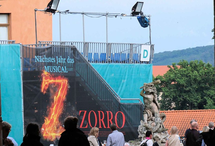 Peter Blei unterwegs auf Schwanensuche