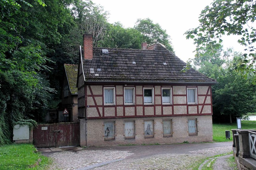 Peter Blei unterwegs auf Schwanensuche