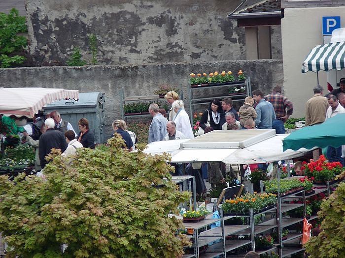 Pflanzenmarkt Sondershausen