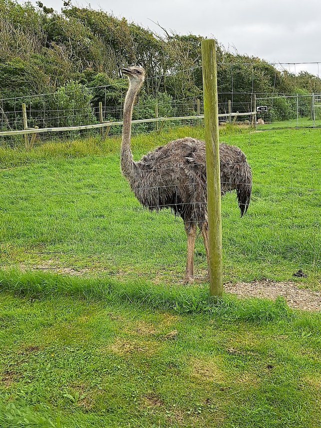 Urlaub in D&auml;nemark