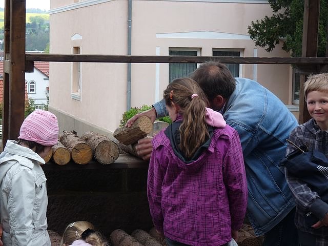 Bau eines Insektenhotels