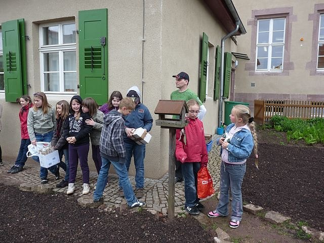 Bau eines Insektenhotels