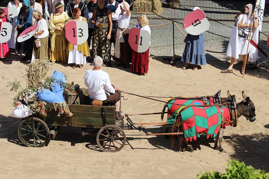 Er&ouml;ffnung 30. Mittelalterstadtfest Bad Langensalza