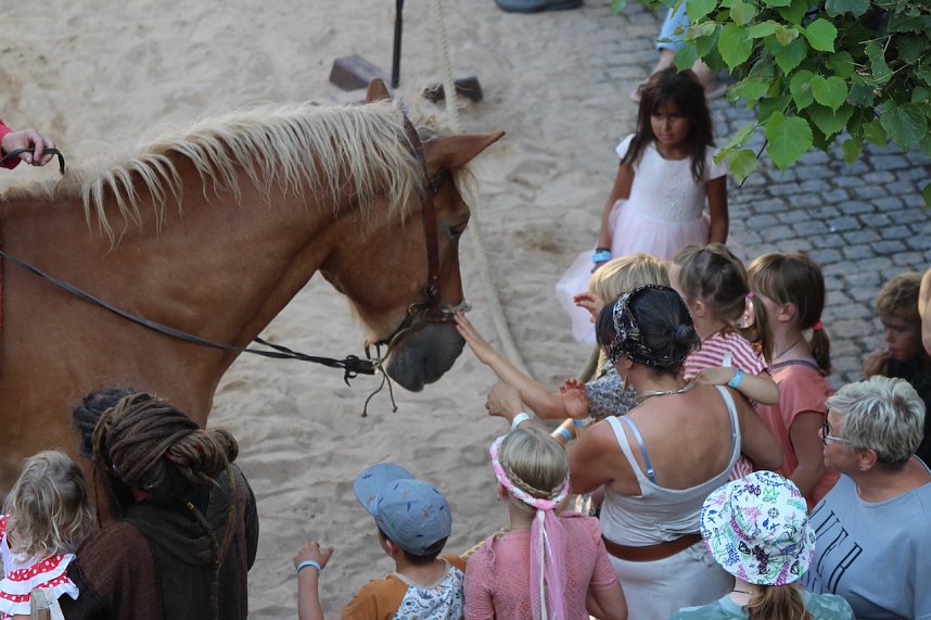 Hochprofessionelle Reitershow mit "Wenzel Ritterspiele"
