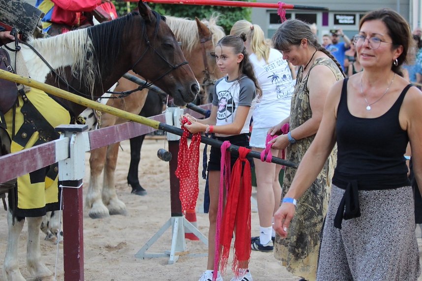 Hochprofessionelle Reitershow mit "Wenzel Ritterspiele"