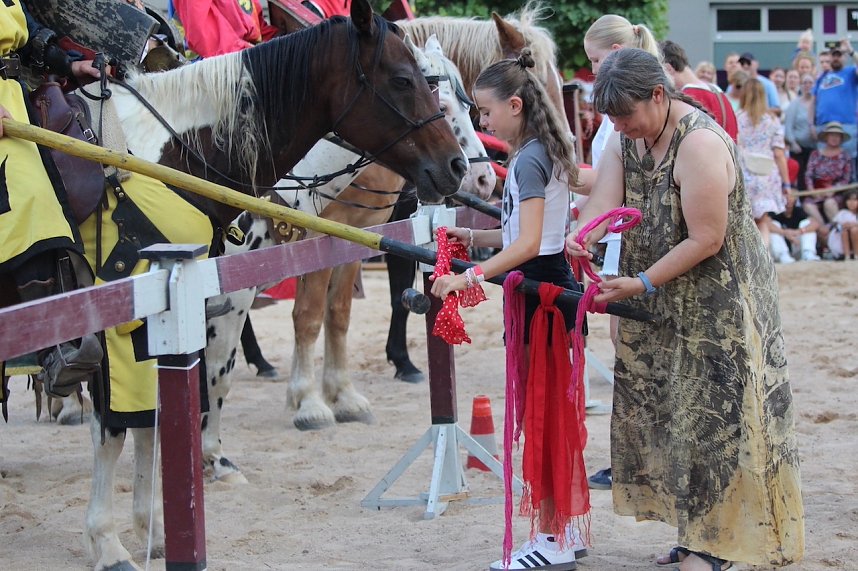 Hochprofessionelle Reitershow mit "Wenzel Ritterspiele"