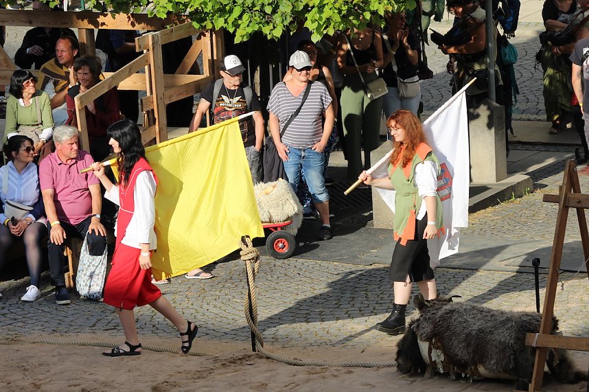 Zwei Tage lang feierten die Langensalzaer mit ihren G&auml;sten aus nah und fern ihr 30. Mittelalterstadtfest