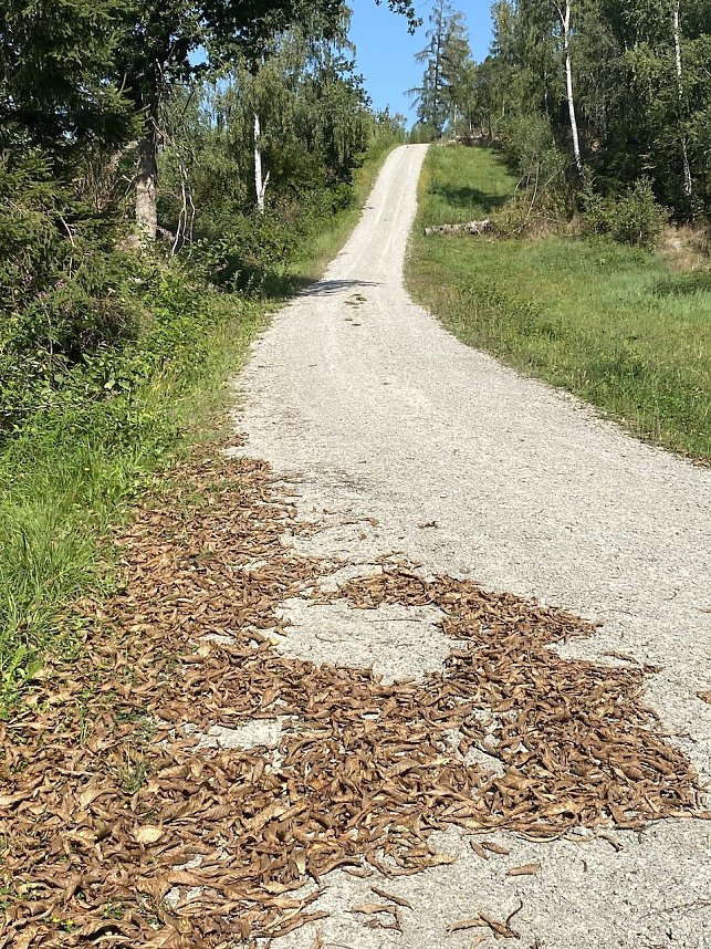 Silker&ouml;der H&uuml;gelland