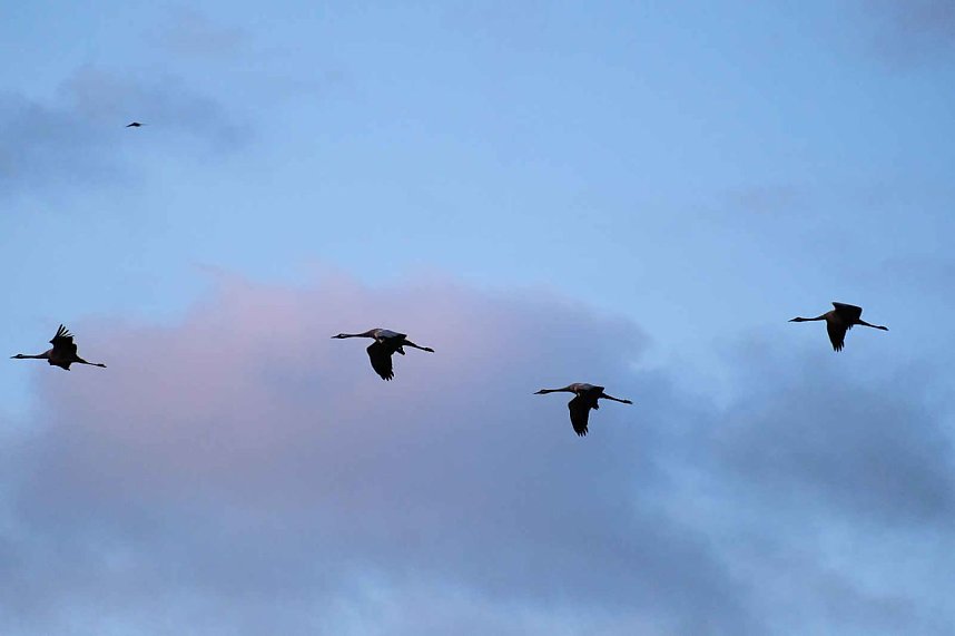 Erster Besuch der Saison