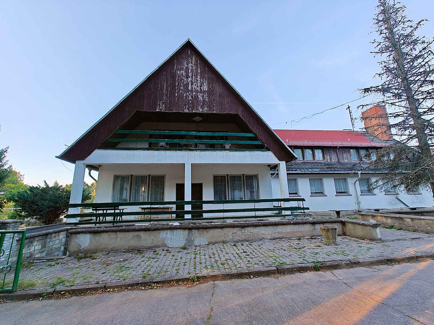 Peter Blei beim Waldspaziergang