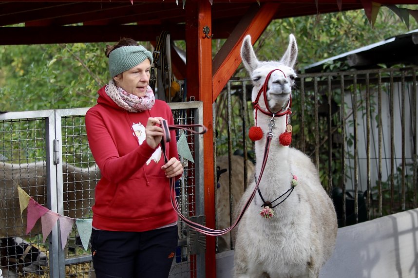 Unterwegs mit den Unstrut Lamas aus Herbsleben