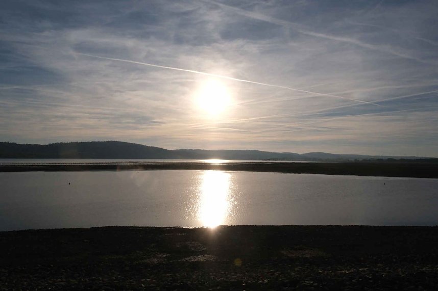 Vogelparadies am Stausee Kelbra