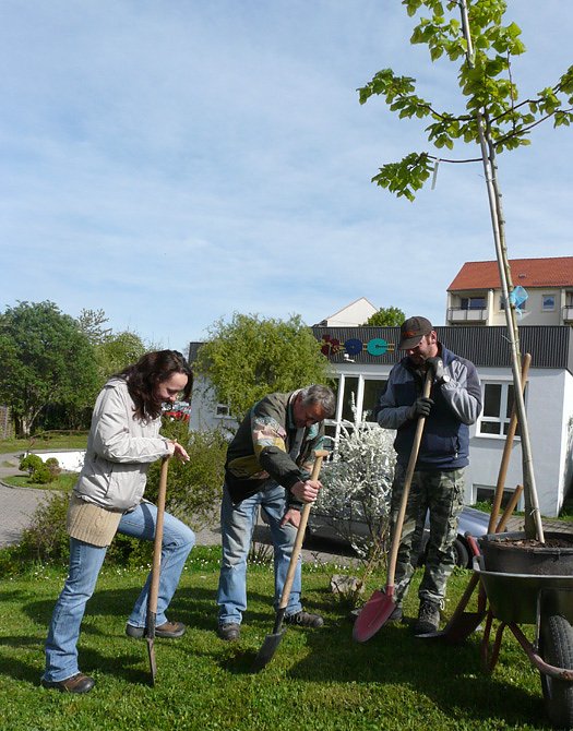 Pflanze deinen Strauch