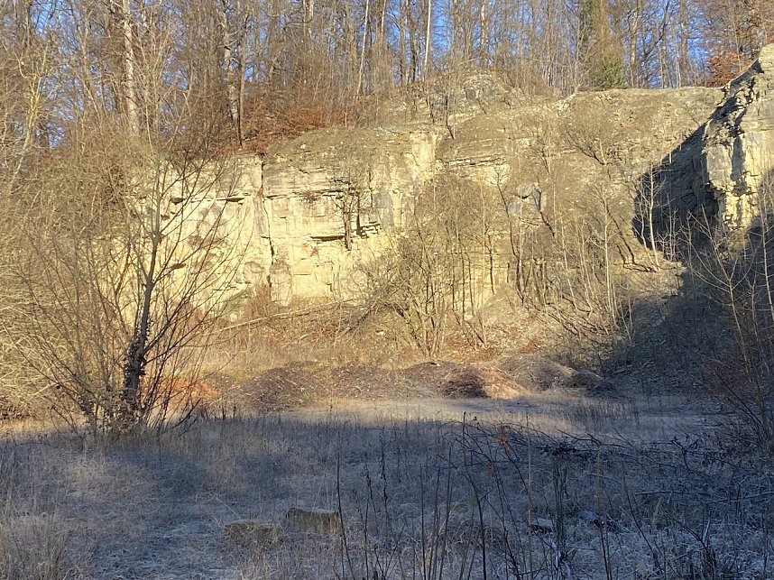 Impressionen einer Wanderung im Januar