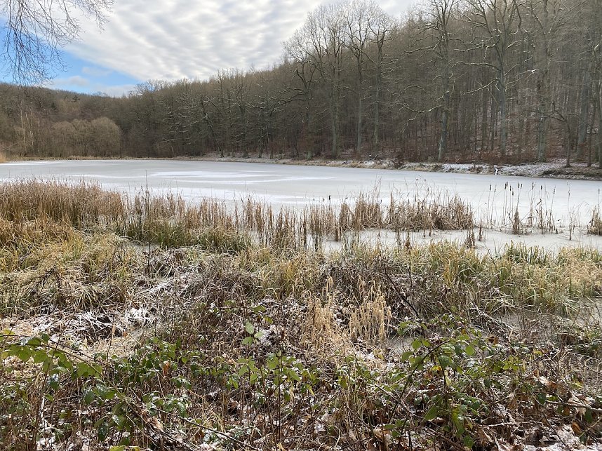 Impressionen einer Wanderung im Januar