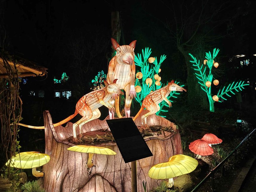 Magische Lichterwelten in Halle