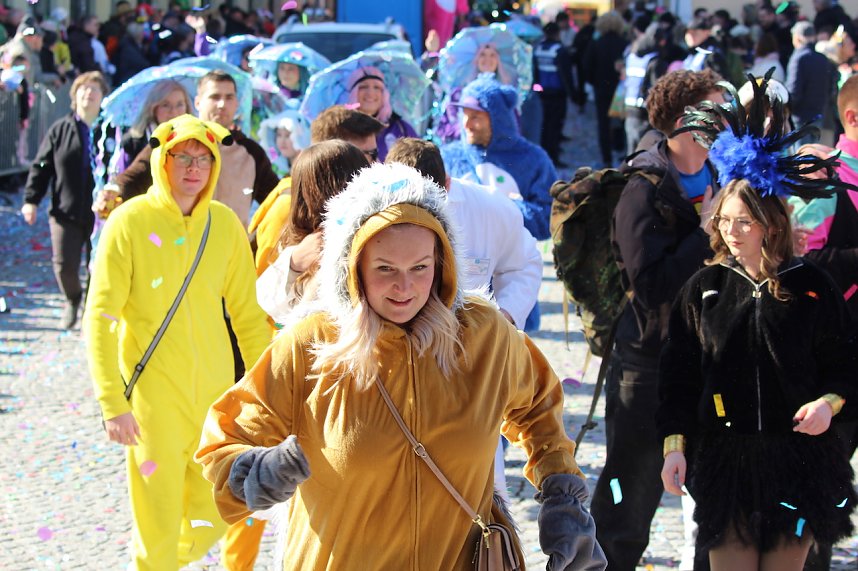 Rosenmontagsumzug 2025 in Sondershausen