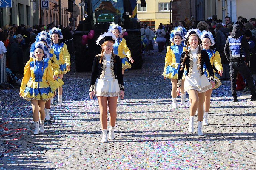 Rosenmontagsumzug 2025 in Sondershausen