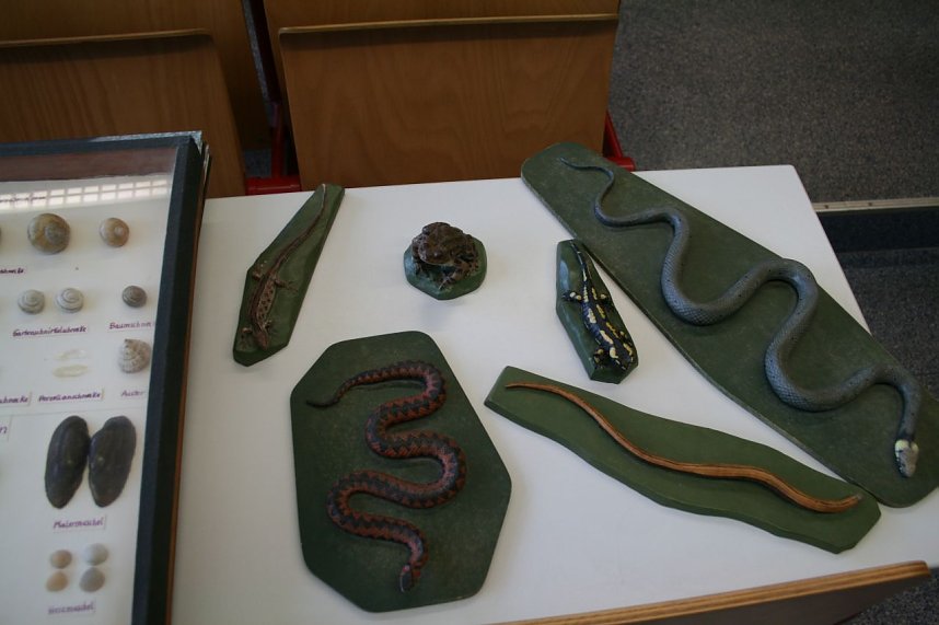 Tag der offenen T&uuml;r am Geschwister-Scholl-Gymnasium in Kelbra