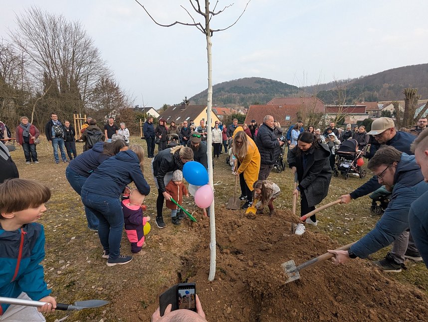 Babybaumaktion in Sondershausen
